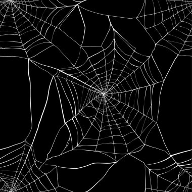 örümcek ağı ile Seamless Modeli 