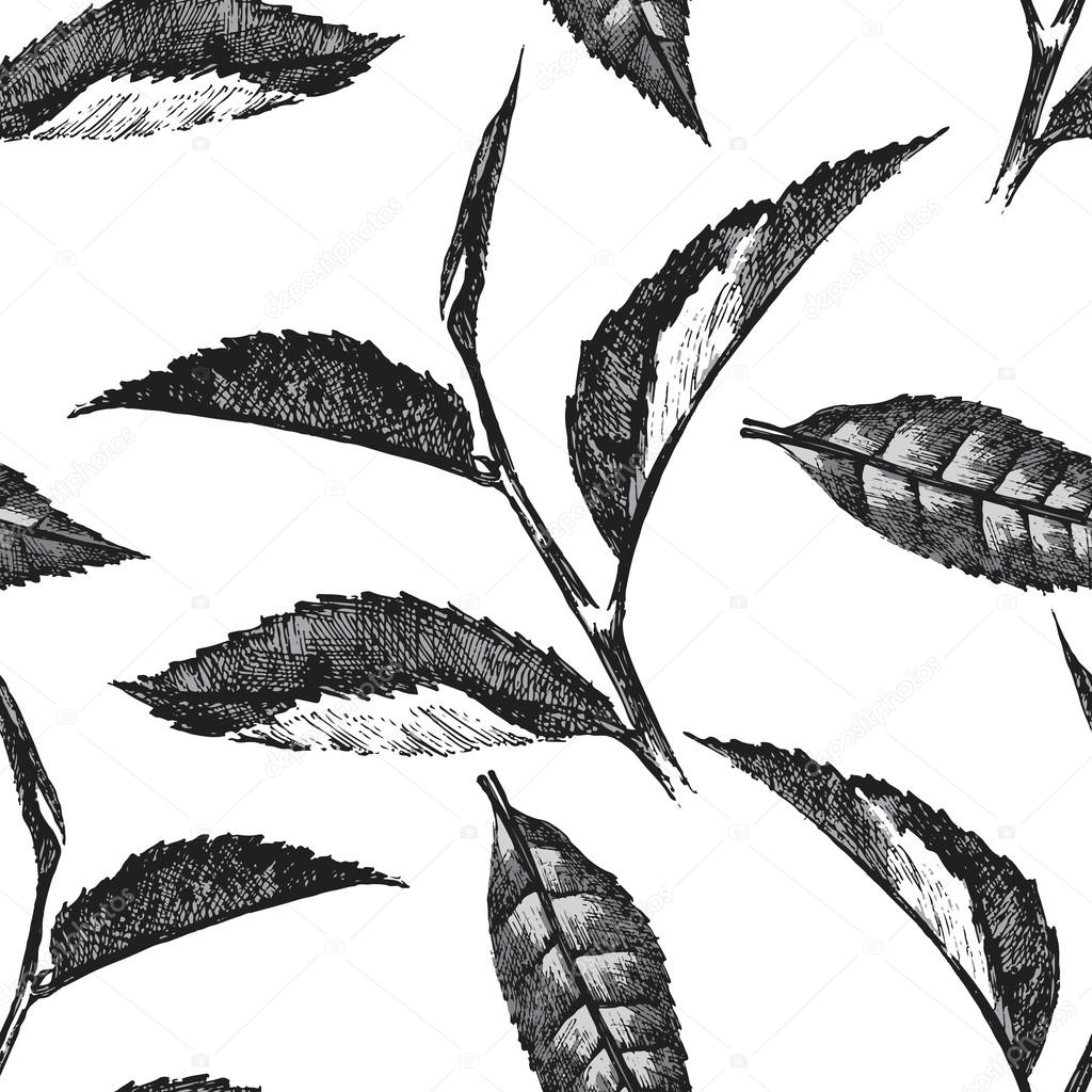 hand drawn seamless pattern with tea leafs