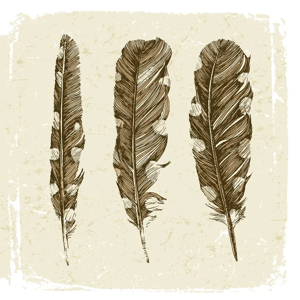 Ручной рисунок точечных перьев в винтажном стиле — стоковый вектор