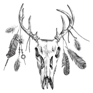 illustration with deer scull and feathers clipart