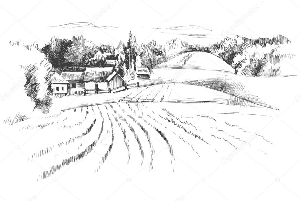 Hand drawn landscape with fields