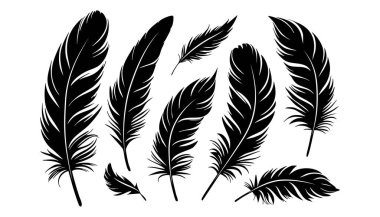 Beyaz arka planda siyah tüyler izole edilmiş. Kuş tüyü silueti. Vektör illüstrasyonu