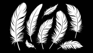 Siyah arka plandaki tüyler. Kuş tüyü silueti. Tüylerin vektör çizimi.