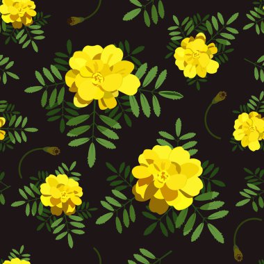 Sarı kadife çiçekleri pürüzsüz desen