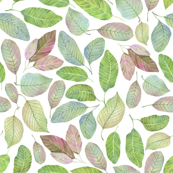 Nahtloses Aquarellmuster Aus Bunten Blättern Auf Weißem Hintergrund — Stockfoto