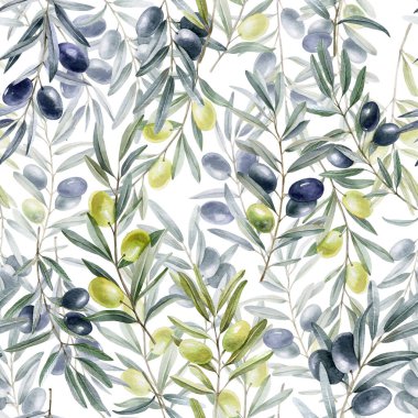 Beyaz arka planda böğürtlenli zeytin dallarının kusursuz suluboya deseni.