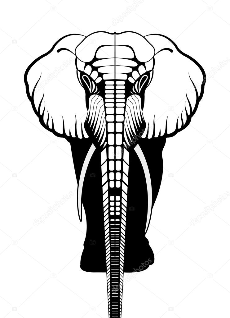 Elephant silhouette animal