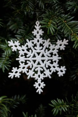 Büyük beyaz kar tanesi süsü koyu yeşil porsukla kaplanmış.