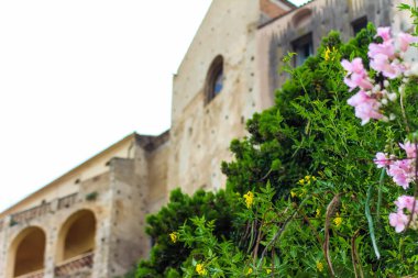 Önünde pembe çiçekli eski bir ev.