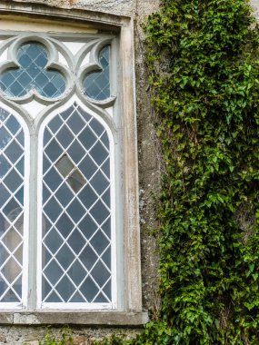 yeşil sarmaşık beyaz ahşap pencereli eski bir ev cephesini kaplıyor