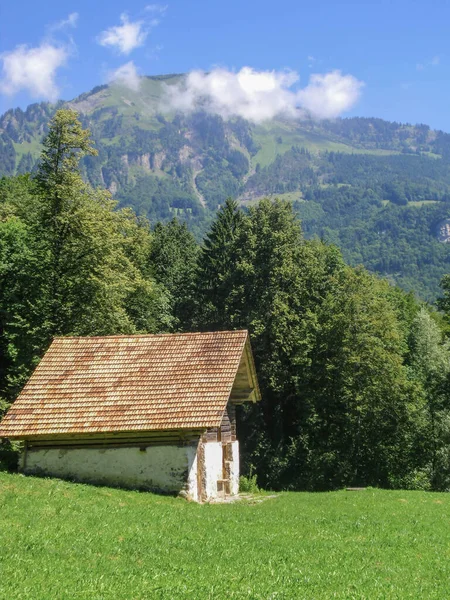 stone cabin in switzerland landscape with forest and mountain in background