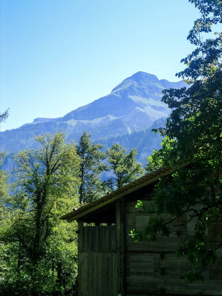 Ancienne Cabane Bois Dans Musée Suisse Plein Air Ballenberg Avec — Photo