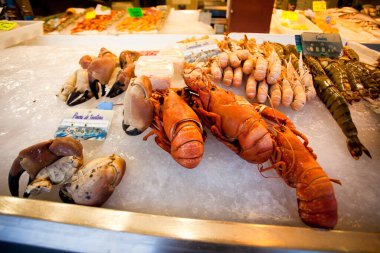 Karides, ıstakoz ve balık Normandiya 'da pazarda satılıyor.