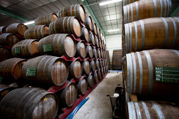Kilerdeki fıçılar viski, Calvados, konyak, olgunlaşan konyak.