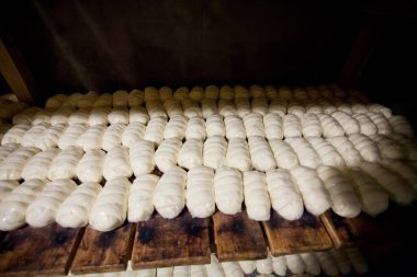 Suluguni peyniri ve feta peyniri süt ürünlerinin bodrumunda raflarda saklanır.