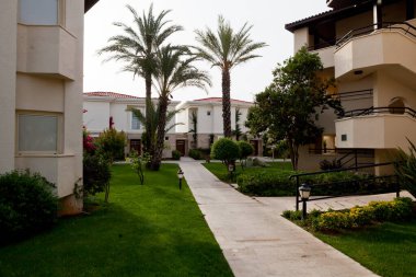 Deniz kenarında ağaçlarla çevrili bir otel havuzu.