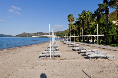 Deniz kenarındaki kumsalda güneşli şezlonglar ve güneşlikler