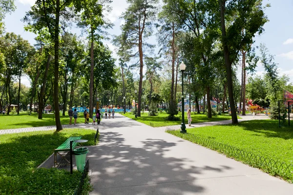 Callejuelas Senderos Del Parque Con Altos Árboles Verdes Día Soleado —  Fotos de Stock