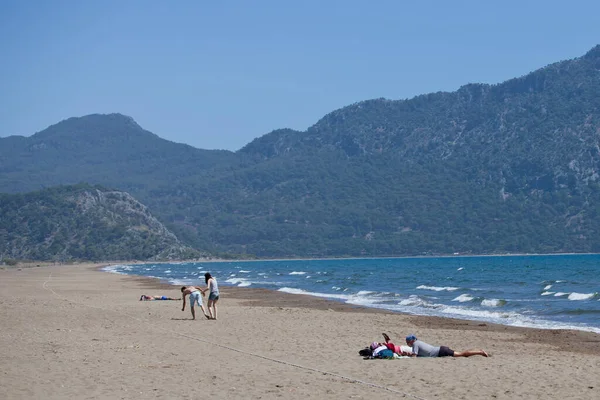 Deniz kenarındaki kumsalda güneşli şezlonglar ve güneşlikler