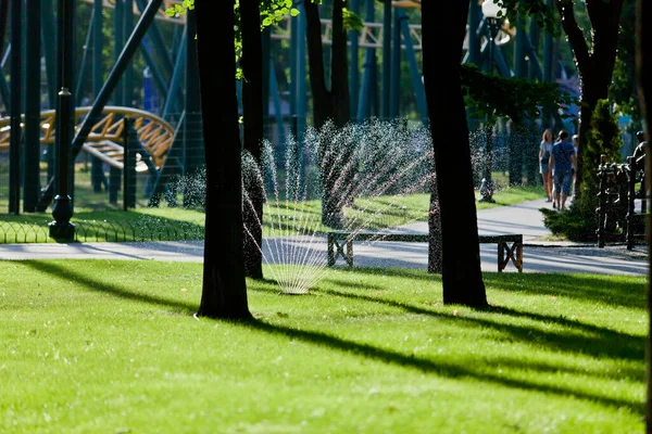 Alleys Paths Park Tall Green Trees Sunny Day Which People — Stock Photo, Image