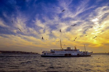 Istanbul Boğaz gecesi, günbatımı feribot ve martılar