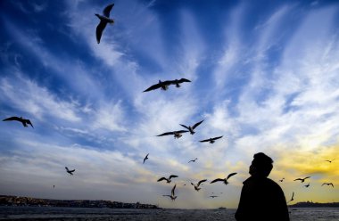 Istanbul boğazı akşam, gün batımı martılar ve insanlar