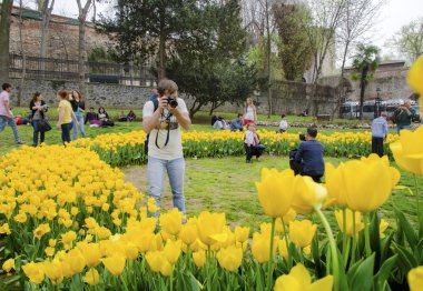 Istanbul Lale Festivali. Mevsimlik Lale festivaller kutladı 