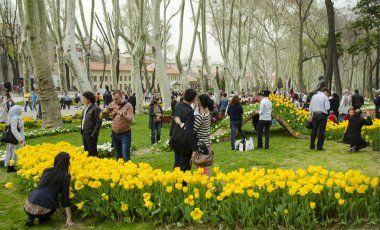 Istanbul Lale Festivali. Mevsimlik Lale festivaller kutladı 