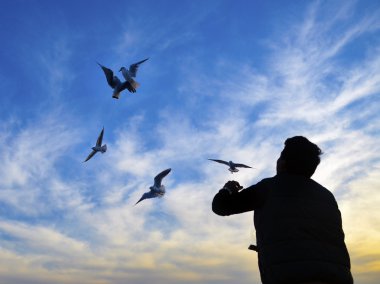 Istanbul boğazı akşam, gün batımı martılar ve insanlar
