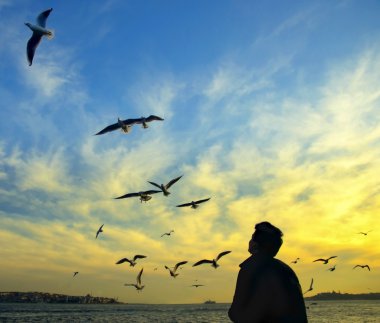 Istanbul boğazı akşam, gün batımı martılar ve insanlar