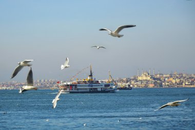  İstanbul'da feribot. Banliyö feribotth üzerinde faaliyet göstermektedir
