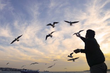 Gün batımı martılar ve insanlar siluet