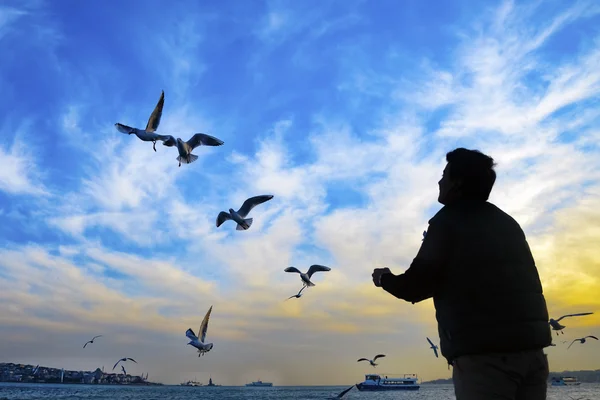 Istanbul Bosphorus evening, sunset seagulls and people — Stock Photo, Image