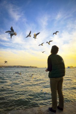 Istanbul boğazı akşam, gün batımı martılar ve insanlar