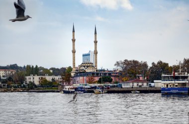 Istanbul, Kadıköy iskelesi. Haydarpaşa Camii protokol ben
