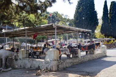 Buyukada Phaeton taşıma