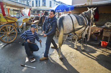 Nalbant. At nalı toynak üzerinde ayakkabı çivileme