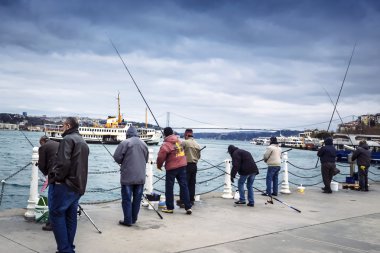 Istanbul boğaz palamut, lüfer, uskumru, sardalye, 