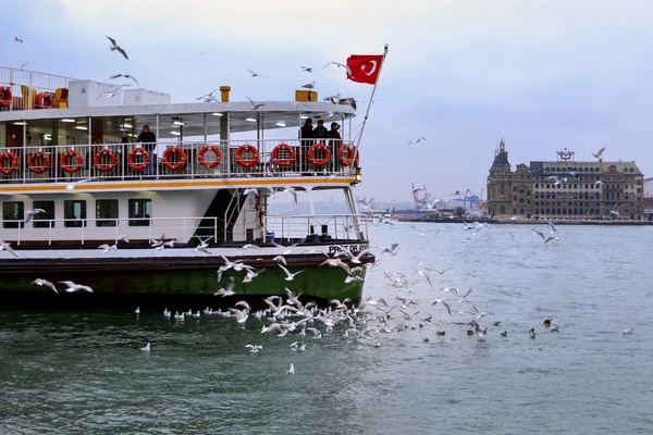 Istanbul boğazı, feribot ve martılar
