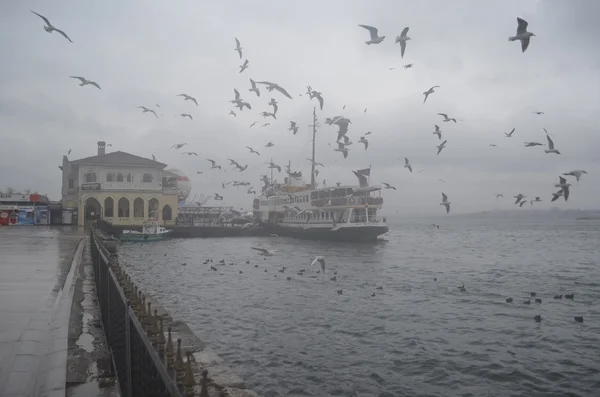 Istanbul, Kadikoy. Foggy matin, attendant de transporter des passagers un — Photo