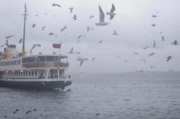 Estambul, Kadikoy. Mañana brumosa, esperando a los pasajeros del ferry y — Foto de Stock
