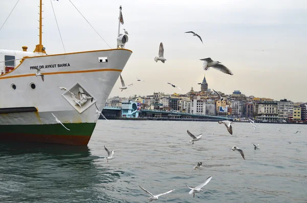 Istanbul Strait, ferry and seagulls — Stock Photo, Image