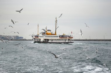 Istanbul boğazı, feribot ve martılar. Martılar tutku o beslemek için