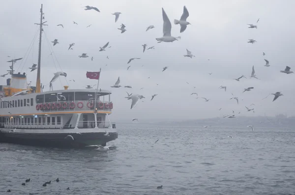 Istanbul Foggy matin, attendant de transporter des passagers et de danser — Photo