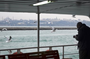 Martılar her yerde Istanbul'vardır. Resimler o çekici bir turizm