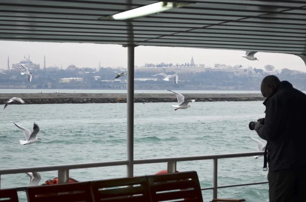 Las gaviotas están por todas partes en Estambul. Un turista tomando fotos o — Foto de Stock