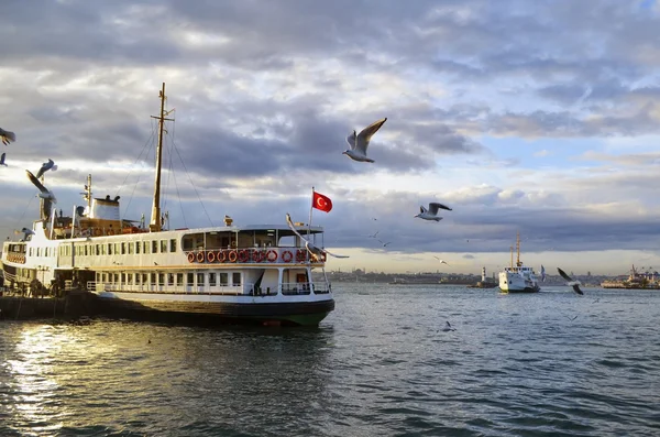 Ferries en Estambul y las gaviotas — Foto de Stock