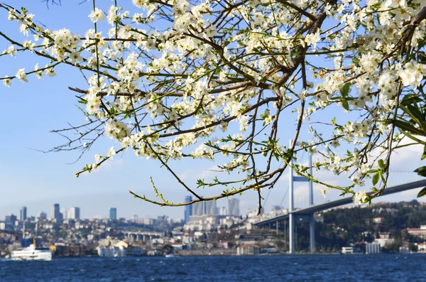 Istambul Bósforo na primavera — Fotografia de Stock