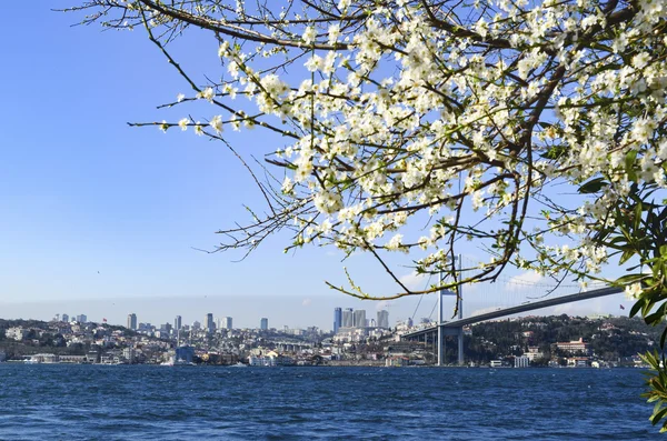 Istambul Bósforo na primavera — Fotografia de Stock