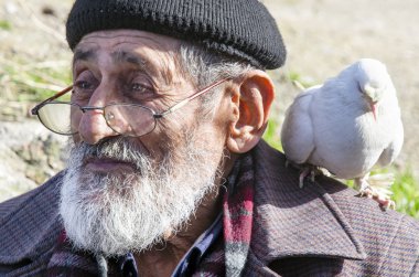 Beyaz sakallı Dede ve güvercinler Dostu.